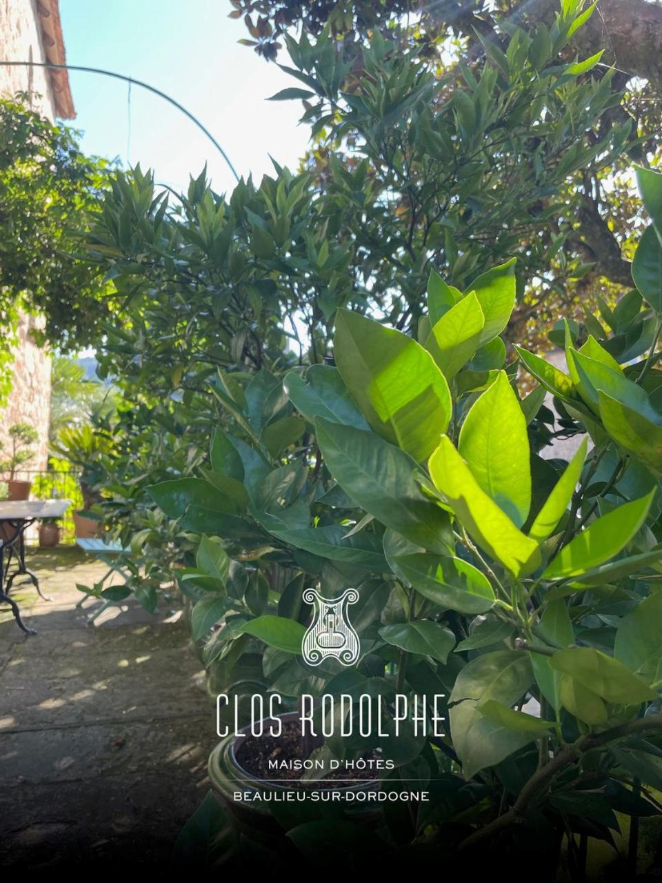 Le Clos Rodolphe Beaulieu-sur-Dordogne Eksteriør bilde